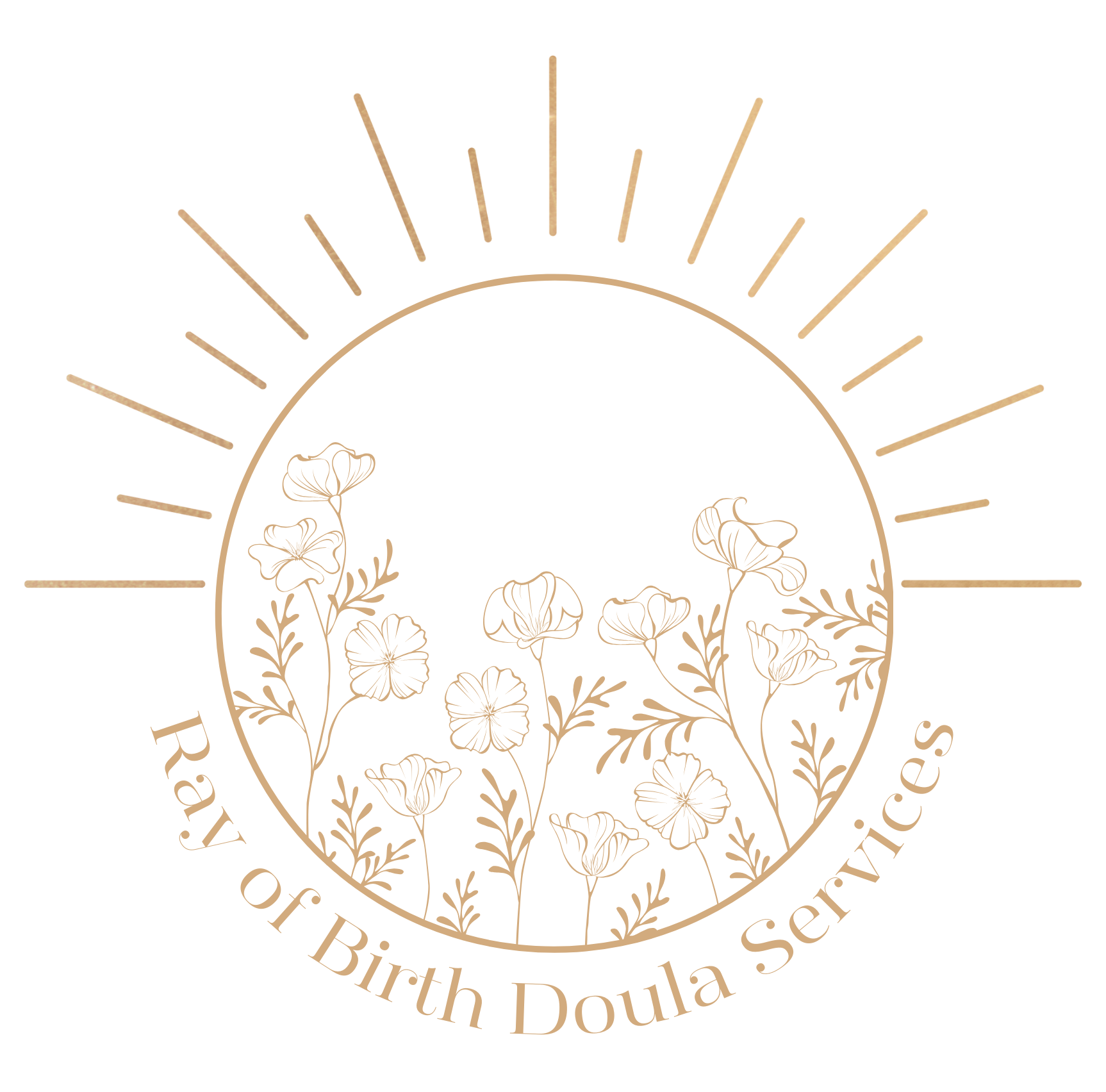 Ray of Birth Doula Services